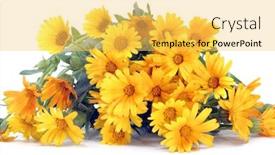  Presentation with purple - Slide deck consisting of close-up-of-a-few background and a yellow colored foreground