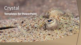  Presentation with bali - Presentation design consisting of close-up-of-a-founder background and a gray colored foreground