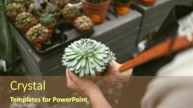  Presentation with worker - Presentation theme having close-up-of-a-garden background and a tawny brown colored foreground