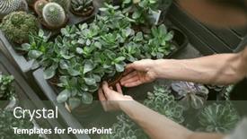  Presentation with hands and word volunteer - Presentation design enhanced with close-up-of-a-garden background and a tawny brown colored foreground