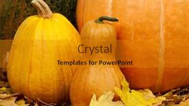  Presentation with shapes - PPT layouts enhanced with close up of a group of pumpkins of different shapes and sizes surrounded by leaves background and a gold colored foreground