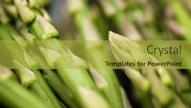  Presentation with asparagus - Slide set featuring close-up-of-a-group background and a yellow colored foreground