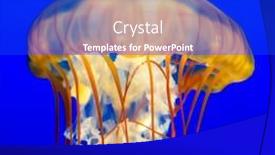  Presentation with nettle - Presentation design with close-up-of-a-japanese background and a cobalt blue colored foreground