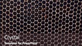  Presentation with comb bee - Presentation theme featuring close-up-of-a-natural background and a tawny brown colored foreground