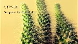  Presentation with cactus - Beautiful PPT theme featuring close-up of a room cactus against a white wall partially blurred cactus backdrop and a yellow colored foreground