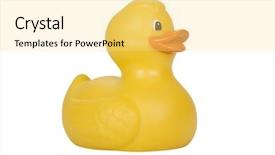  Presentation with rubber duck - Amazing PPT layouts having close-up of a rubber duck backdrop and a yellow colored foreground