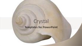  Presentation with sea shell - Cool new PPT theme with close-up-of-a-sea backdrop and a mint green colored foreground