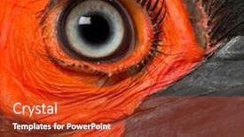  Presentation with eye - PPT layouts featuring close-up-of-a-southern background and a crimson colored foreground