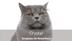  Presentation with british rugby - Cool new presentation theme with close up of a superb backdrop and a gray colored foreground