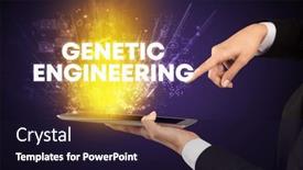  Presentation with close up garlic bulbs - PPT layouts having close-up-of-a-touchscreen background and a wine colored foreground