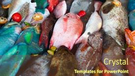  Presentation with colorful - Colorful theme enhanced with close-up-of-a-variety backdrop and a tawny brown colored foreground