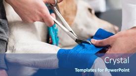  Presentation with taking care of children and parent - Colorful slides enhanced with close-up-of-a-veterinarian backdrop and a ocean colored foreground