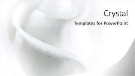  Presentation with white rose - Presentation theme enhanced with close-up of a white background and a white colored foreground