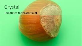  Presentation with green - PPT layouts with close-up-of-a-whole background and a mint green colored foreground