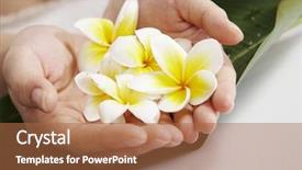  Presentation with frangipani flowers - Beautiful presentation theme featuring close-up of a woman's hands holding a leaf and frangipani flowers plumeria backdrop and a red colored foreground