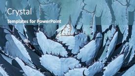  Presentation with stem - PPT theme consisting of close-up-of-agave-isthmensis background and a teal colored foreground