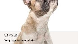  Presentation with old - Amazing theme having close-up-of-an-old backdrop and a soft green colored foreground