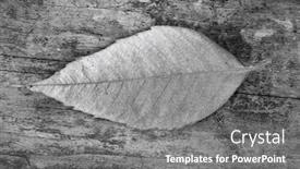  Presentation with autumn - Theme enhanced with close-up-of-autumn-leaf background and a gray colored foreground