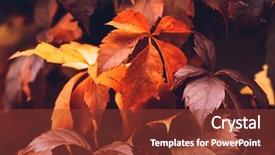  Presentation with fall season - Slide deck featuring close up of autumn virginia background and a tawny brown colored foreground