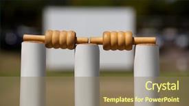  Presentation with cricket - Theme featuring close-up of bails background and a coral colored foreground