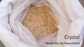  Presentation with close up of bark - Theme featuring close up of barley sack background and a mint green colored foreground