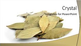  Presentation with curry leaves - Presentation theme consisting of close up of bay leaves background and a white colored foreground