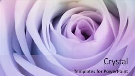  Presentation with multicolor - Audience pleasing presentation theme consisting of close up of beautiful multicolor backdrop and a light blue colored foreground