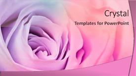  Presentation with multicolor graduation - Presentation theme with close up of beautiful multicolor background and a lemonade colored foreground