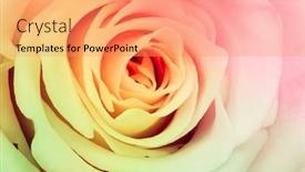  Presentation with multicolor - Theme with close-up-of-beautiful-multicolor background and a coral colored foreground