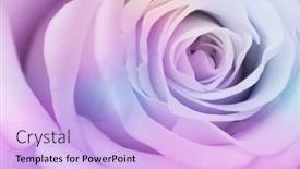  Presentation with multicolor - Beautiful slides featuring close-up-of-beautiful-multicolor backdrop and a lavender colored foreground