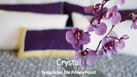  Presentation with orchids - Theme consisting of close up of beautiful orchids background and a gray colored foreground