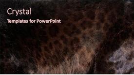  Presentation with black 3d plastic print texture - PPT theme with close-up-of-black-spotted background and a wine colored foreground