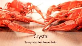  Presentation with red boiled crawfish food - Cool new PPT theme with close up of boiled crawfish backdrop and a lemonade colored foreground