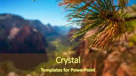  Presentation with pine - Slide set featuring close up of branch of pine tree with zion national park on the background usa background and a tawny brown colored foreground