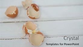  Presentation with broken egg - 