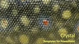  Presentation with trout - Presentation having close-up of brook trout background and a tawny brown colored foreground