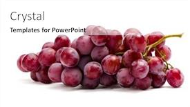  Presentation with lavendar bunch - Colorful presentation theme enhanced with close up of bunch of grape isolated on white concept of healthy eating and dieting lifestyle backdrop and a white colored foreground
