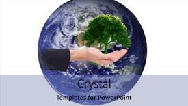  Presentation with growing tree - PPT theme with close up of businessman with empty hand open against tree with lots of leaves growing background and a ocean colored foreground