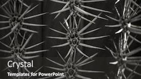  Presentation with thorn - Presentation design featuring close-up-of-cactus-thorn background and a dark gray colored foreground