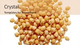  Presentation with chick - Amazing slide set having close-up of chick peas backdrop and a yellow colored foreground