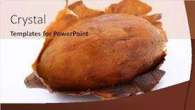  Presentation with sweet potato - PPT layouts enhanced with close-up-of-delicious-roasted background and a  colored foreground
