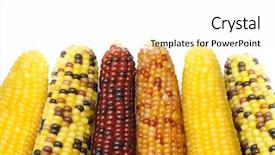  Presentation with american indian - Slides with close up of dried indian background and a white colored foreground