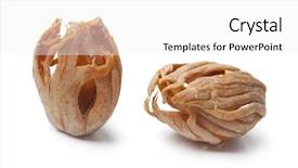  Presentation with turbine blades - Beautiful slide deck featuring close-up of dried mace backdrop and a white colored foreground