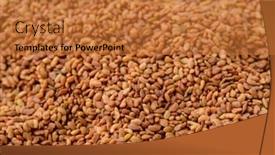  Presentation with organic dry chia seeds - Slides enhanced with close-up-of-dried-organic background and a red colored foreground