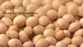  Presentation with beans - Theme having close-up-of-dried-soy background and a coral colored foreground
