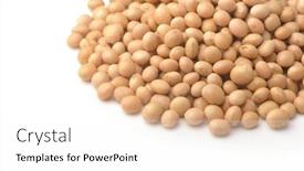  Presentation with soybeans - Amazing PPT theme having close-up-of-dried-soybeans backdrop and a white colored foreground