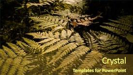  Presentation with dry forest - Cool new PPT theme with close up of dry yellow backdrop and a tawny brown colored foreground