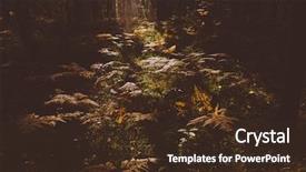  Presentation with dry forest - Audience pleasing PPT theme consisting of close up of dry yellow backdrop and a tawny brown colored foreground