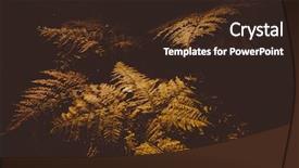  Presentation with dry forest - PPT theme featuring close up of dry yellow background and a wine colored foreground