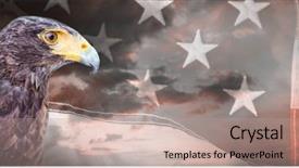  Presentation with eagle - PPT layouts featuring close-up of eagle background and a coral colored foreground